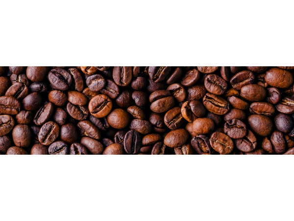 Omni Roast – Geschmackliche Vielfalt, die Sinn macht oder doch nur Trend für faule Kaffeeröster? SCHNEID-KAFFEE klärt auf - 