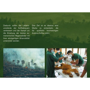 Orang Utan Coffee Sumatra 1000g Chemex - Sowden Kanne