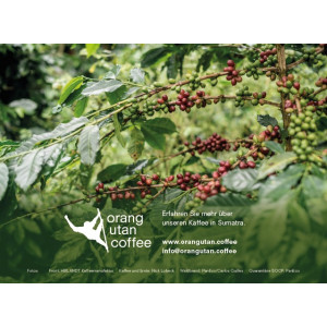 Orang Utan Coffee Sumatra 500g Espresso-Herdkocher